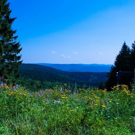 Gruppenhaus Bis 30 Personen Im Suedharz Prázdninový dům *