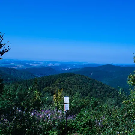 Gruppenhaus Bis 30 Personen Im Suedharz *