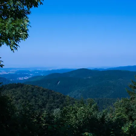 Gruppenhaus Bis 30 Personen Im Suedharz