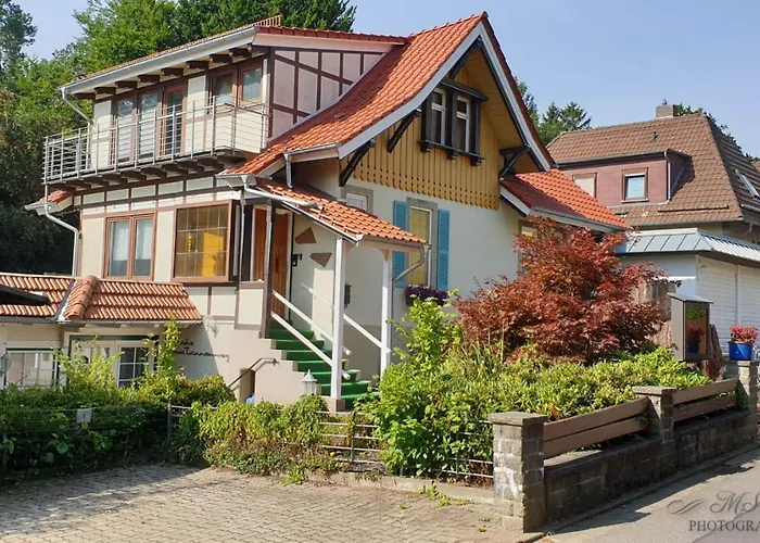 Tatil Evi Gruppenhaus Bis 30 Personen Im Suedharz *