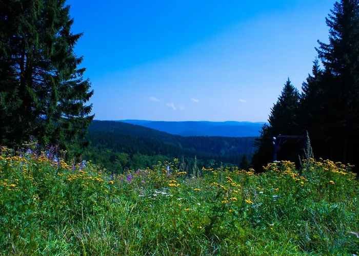 Gruppenhaus Bis 30 Personen Im Suedharz Tatil Evi *