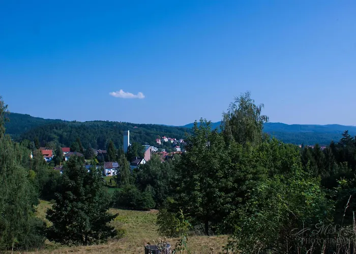 Tatil Evi Gruppenhaus Bis 30 Personen Im Suedharz Bad Sachsa