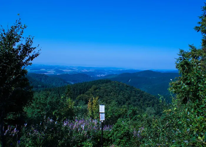 Gruppenhaus Bis 30 Personen Im Suedharz *