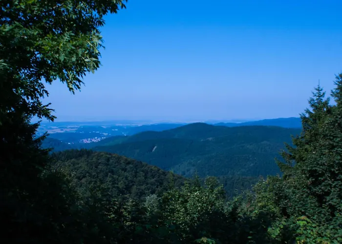Gruppenhaus Bis 30 Personen Im Suedharz
