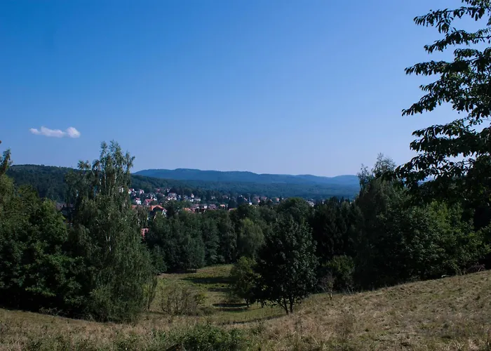 Tatil Evi Gruppenhaus Bis 30 Personen Im Suedharz *